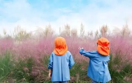 園児も大好き「秋のお散歩」、楽しさ倍増の2ヶ条・安全第一の3ヶ条件って?